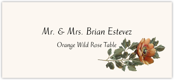 Orange Wild Rose  Place Cards