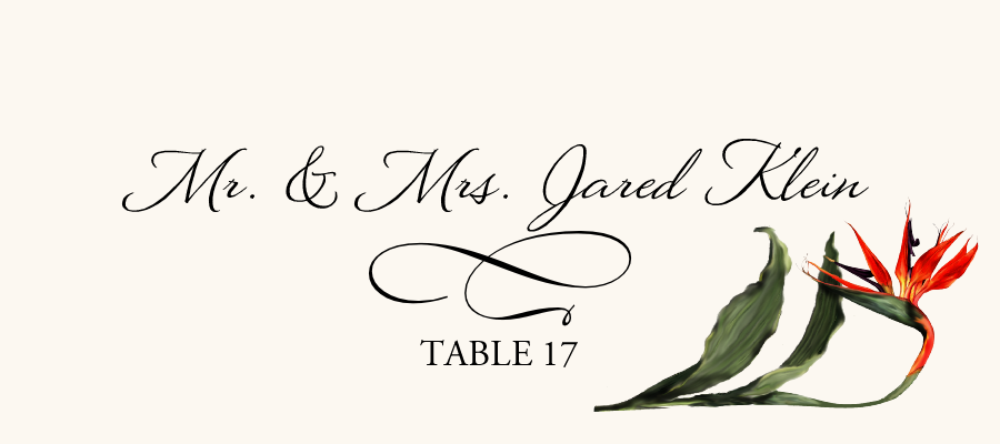 Orchid Assortment  Place Cards