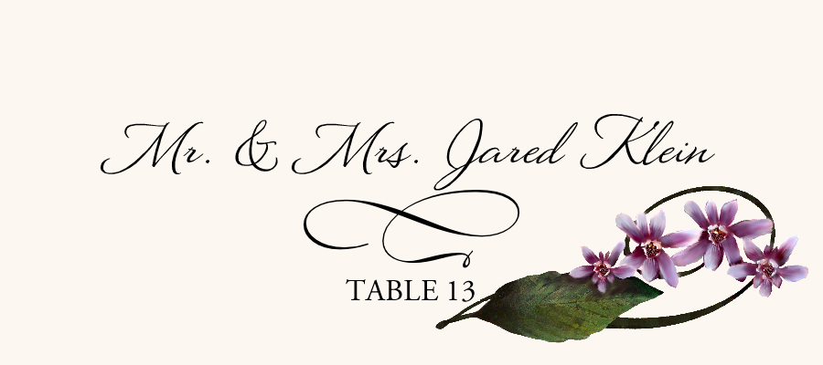 Orchid Assortment  Place Cards