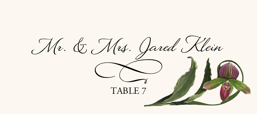 Orchid Assortment  Place Cards