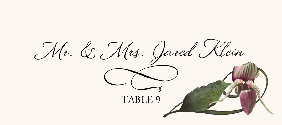 Orchid Assortment  Place Cards