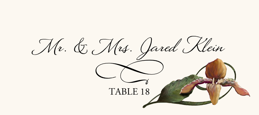 Orchid Assortment  Place Cards