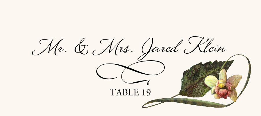 Orchid Assortment  Place Cards