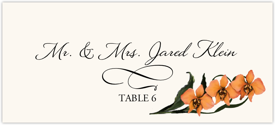 Orchid Assortment  Place Cards