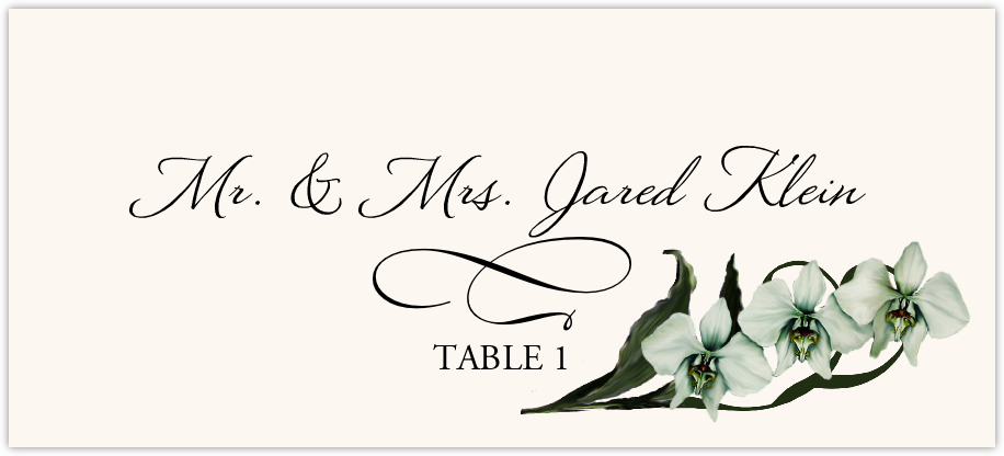 Orchid Assortment  Place Cards