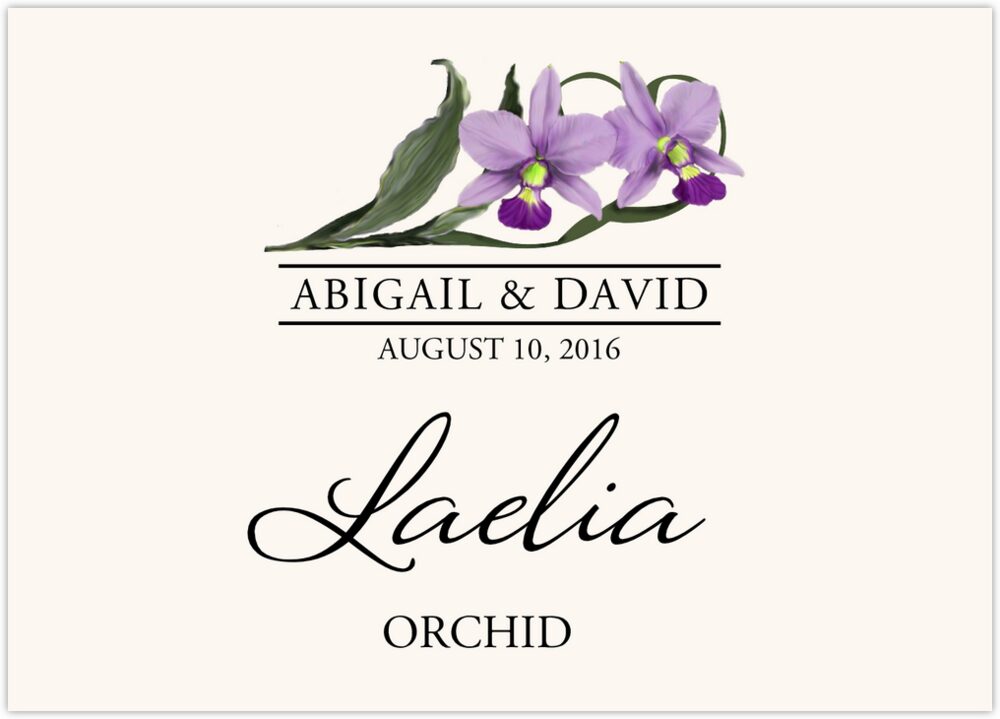 Orchid Assortment  Table Names