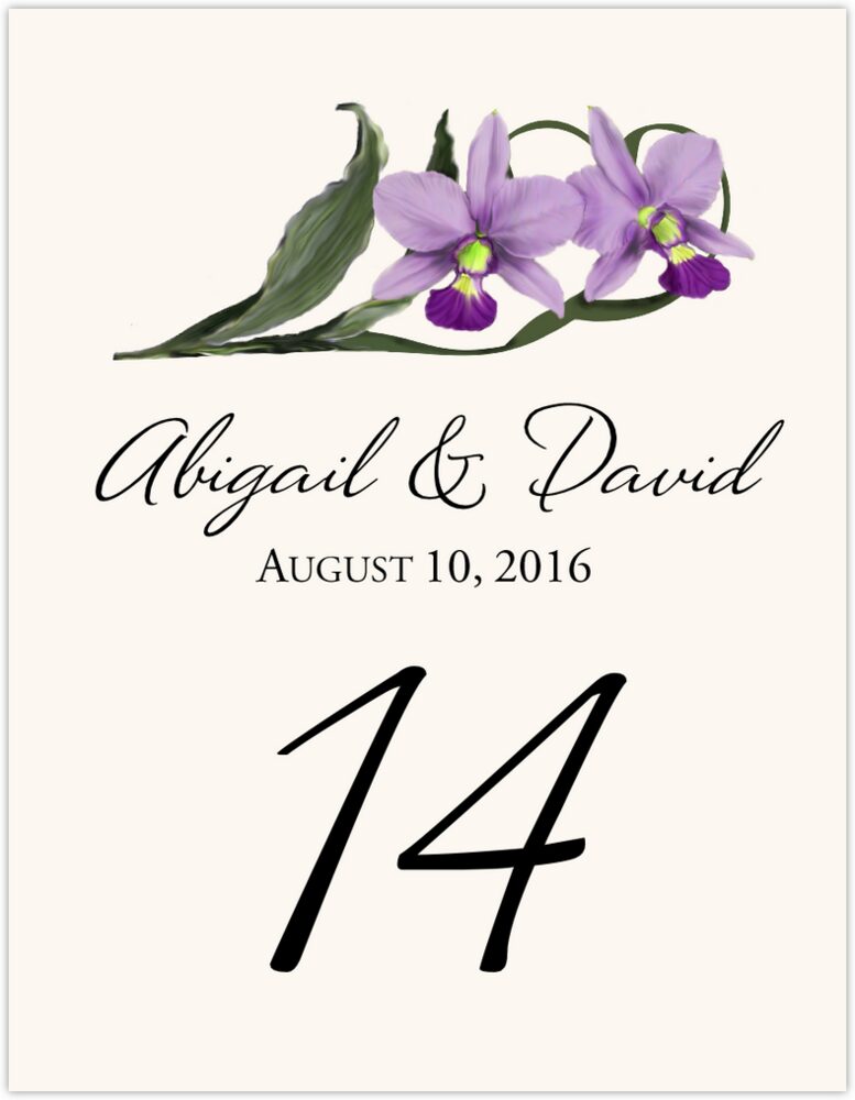 Orchid Assortment  Table Numbers