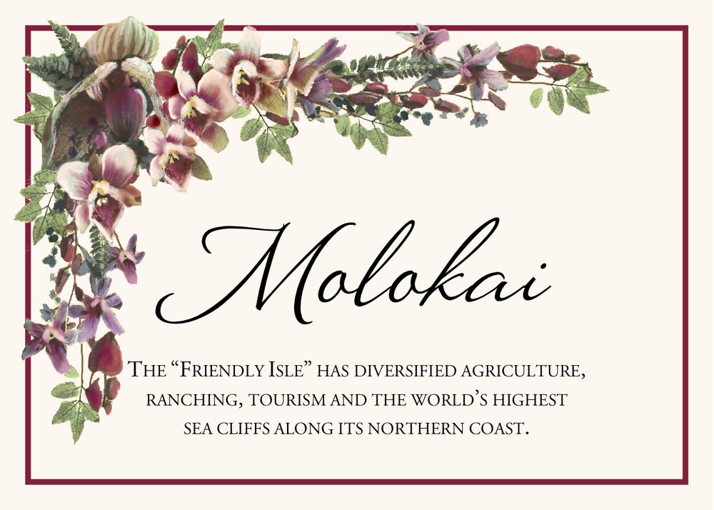 Orchid Cascade  Memorabilia Cards