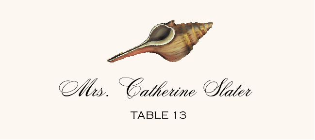 Antique Seashell Collector  Place Cards