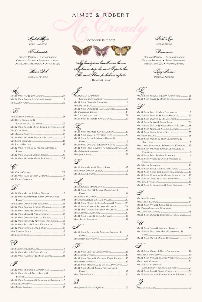Pink Pattern Butterflies  Seating Charts