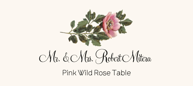 Assorted Flowers  Place Cards