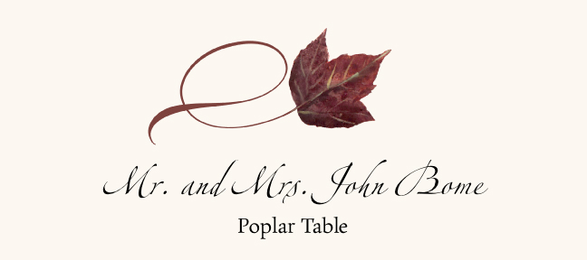 Assorted Twisty Leaves  Place Cards