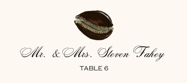 Antique Seashell Collector  Place Cards