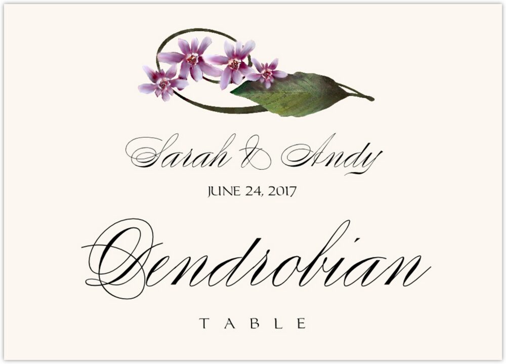 Purple Calypso Orchid  Table Names