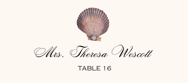 Antique Seashell Collector  Place Cards