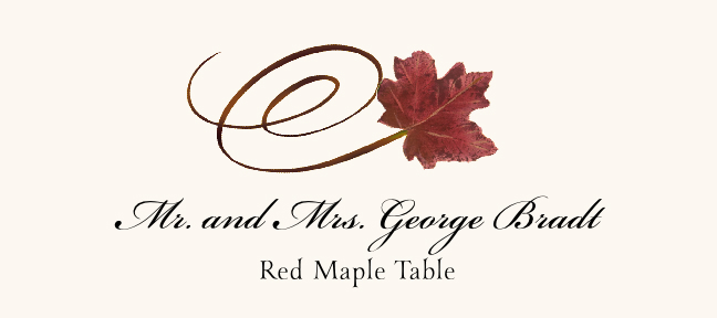 Assorted Swirly Leaves  Place Cards