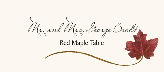 Assorted Wispy Leaves  Place Cards