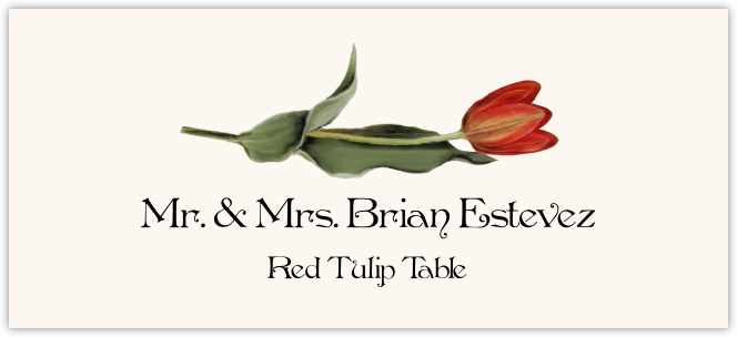 Red Tulip  Place Cards