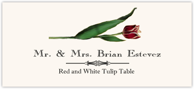 Red and White Tulip  Place Cards