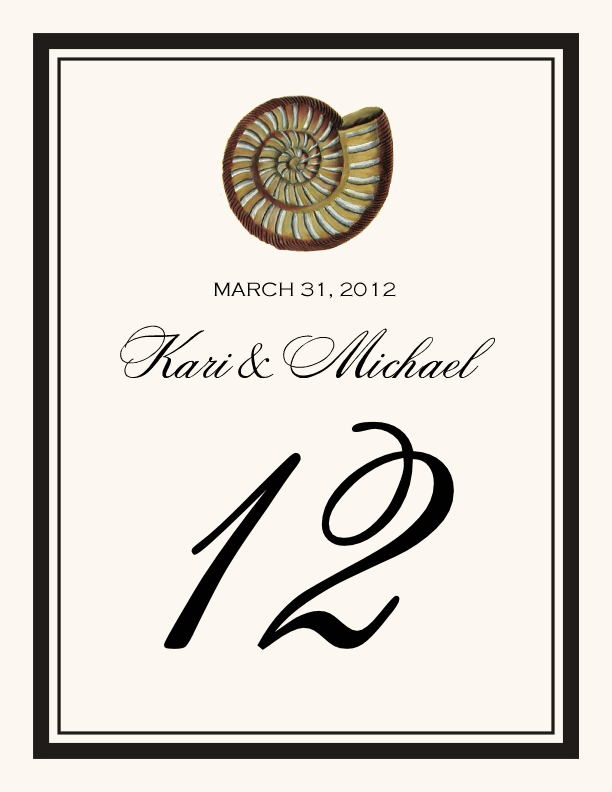 Antique Seashell Collector  Table Numbers