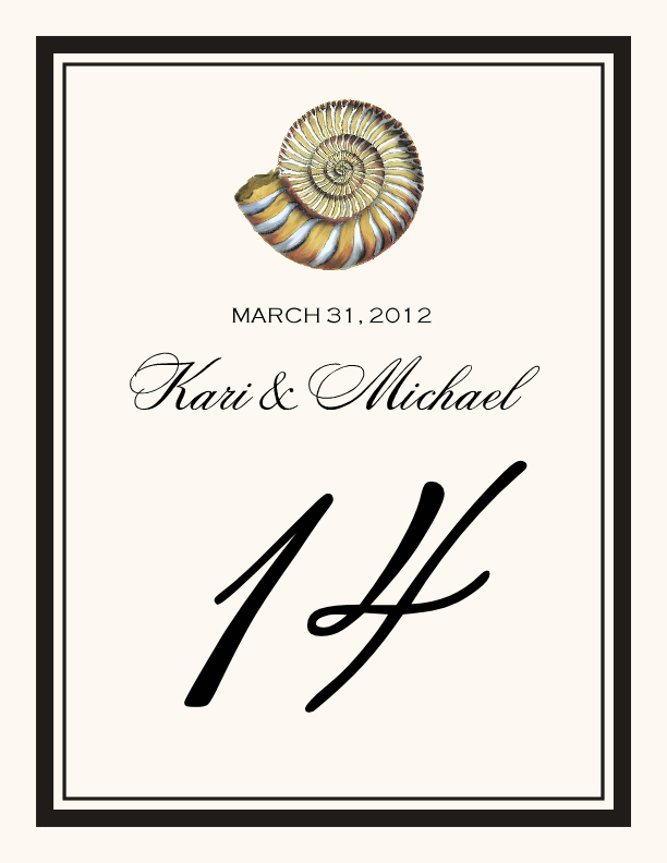 Antique Seashell Collector  Table Numbers