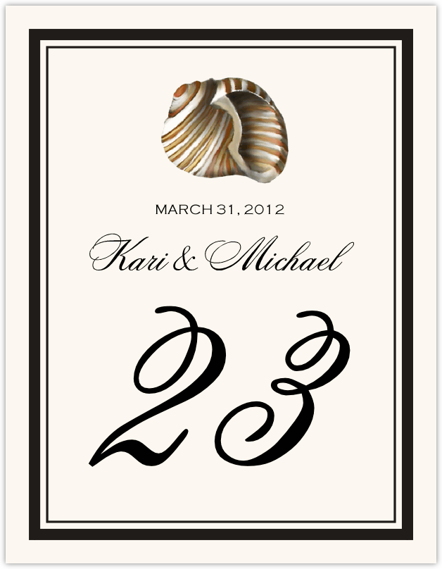 Antique Seashell Collector  Table Numbers