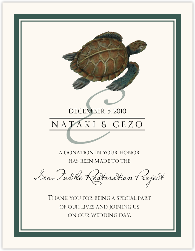 Sea Turtle  Donation Cards