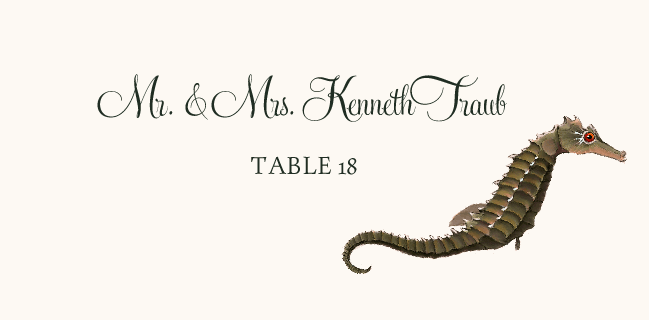 Seahorse Love  Place Cards