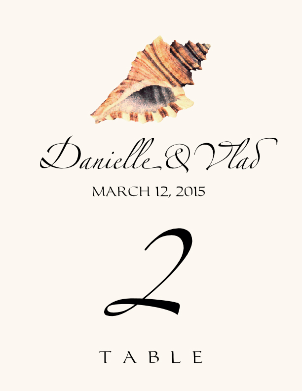 Seashell Assortment 02  Table Numbers