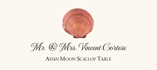 Seashell Assortment  Place Cards