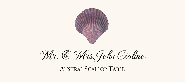 Seashell Assortment  Place Cards