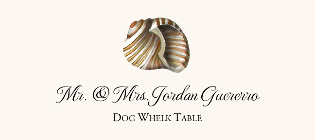 Seashell Assortment  Place Cards