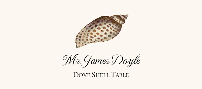 Seashell Assortment  Place Cards