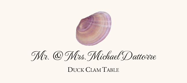 Seashell Assortment  Place Cards