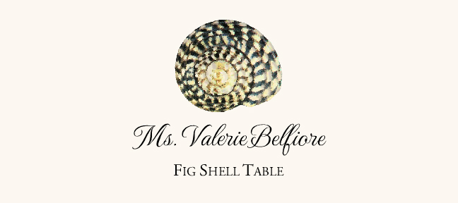 Seashell Assortment  Place Cards
