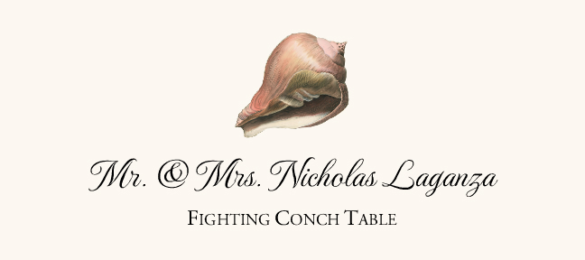 Seashell Assortment  Place Cards