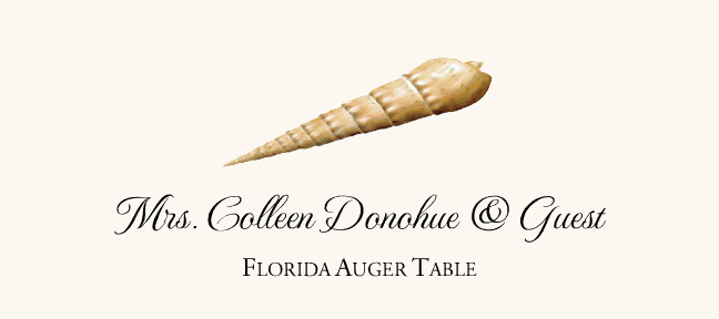 Seashell Assortment  Place Cards