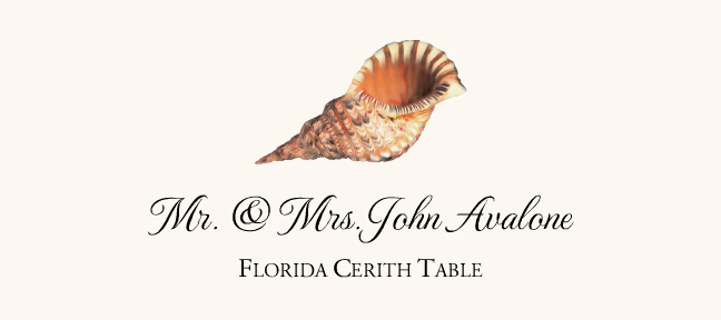 Seashell Assortment  Place Cards