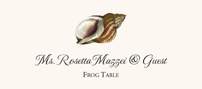 Seashell Assortment  Place Cards