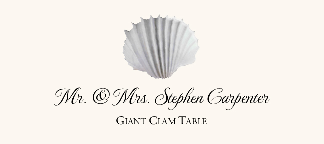 Seashell Assortment  Place Cards