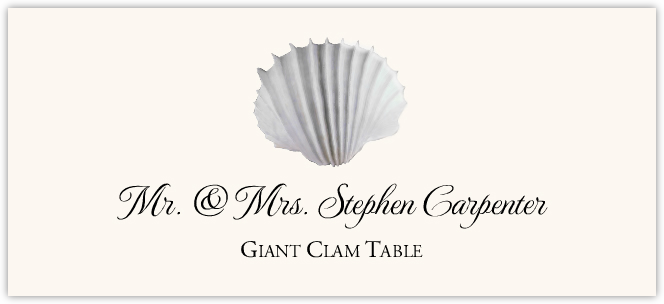 Seashell Assortment  Place Cards