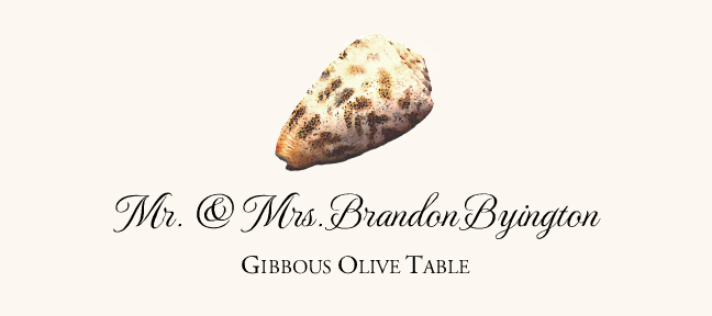 Seashell Assortment  Place Cards