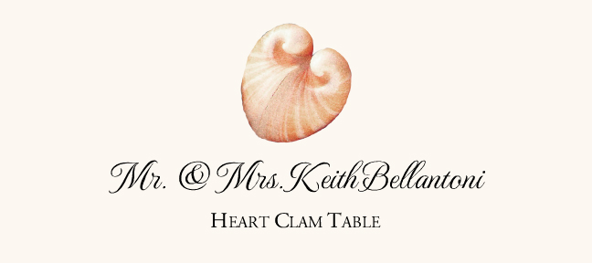 Seashell Assortment  Place Cards