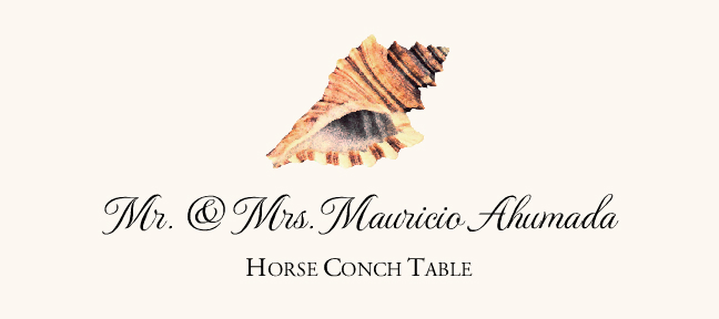 Seashell Assortment  Place Cards