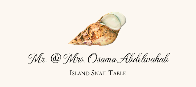 Seashell Assortment  Place Cards