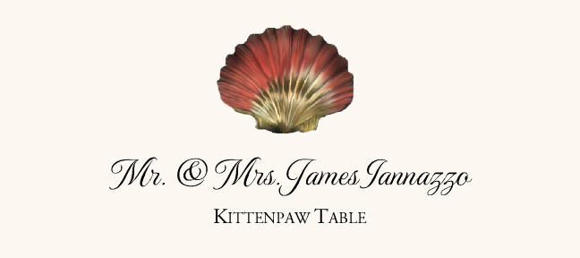 Seashell Assortment  Place Cards