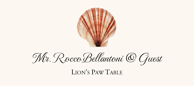 Seashell Assortment  Place Cards