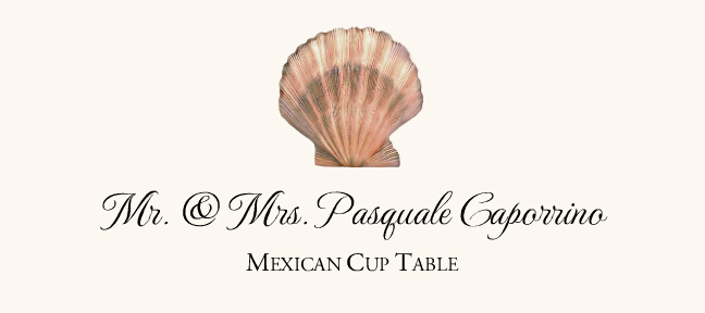 Seashell Assortment  Place Cards