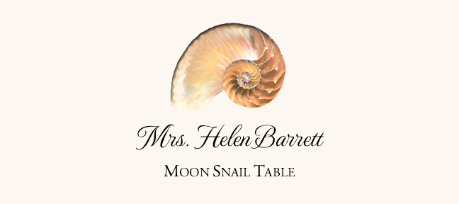 Seashell Assortment  Place Cards