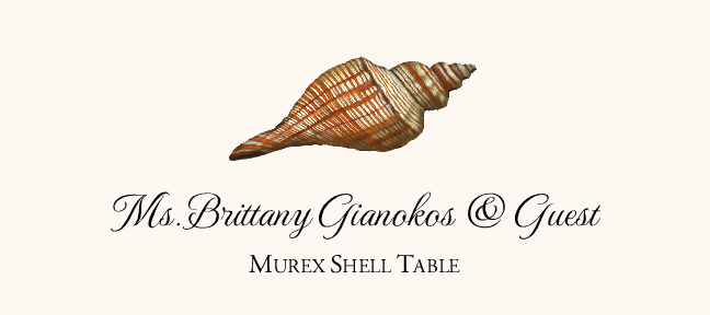 Seashell Assortment  Place Cards